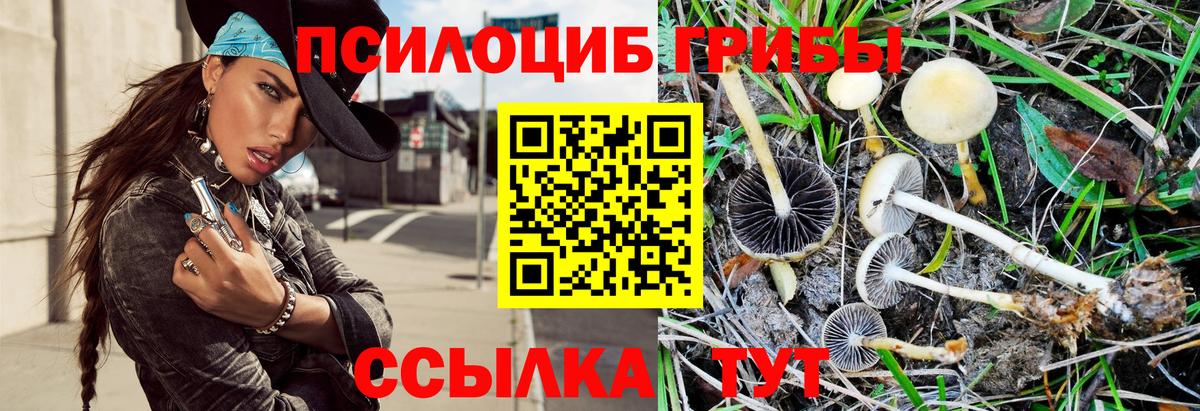 Галлюциногенные грибы Magic Shrooms  Вход с VPN  Великий Новгород  Псилоцибиновые грибы мицелий 